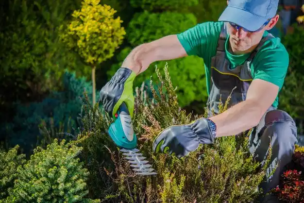 landscaping services Shelbyville